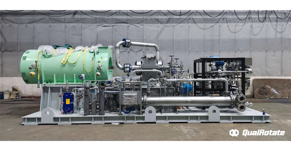 Jiangsu Helen Petrochemical CG-411-PTA Reactor Feed Pump Skid Project
